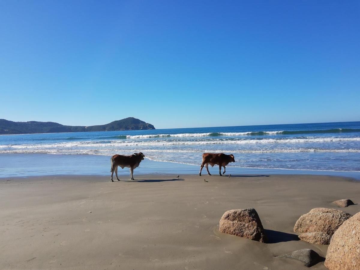 Pousada Gopak Praia do Rosa Exteriör bild
