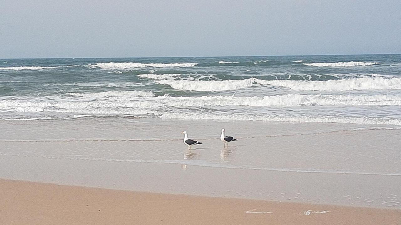 Pousada Gopak Praia do Rosa Exteriör bild